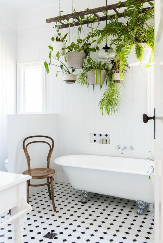 Déco : des plantes dans la salle de bain
